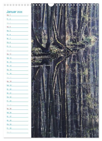 Produktbild: Wunderbarer Spreewald (Wandkalender 2026 DIN A3 hoch), CALVENDO Monatskalender
