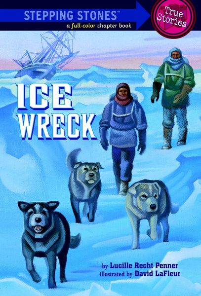 Produktbild: Ice Wreck
