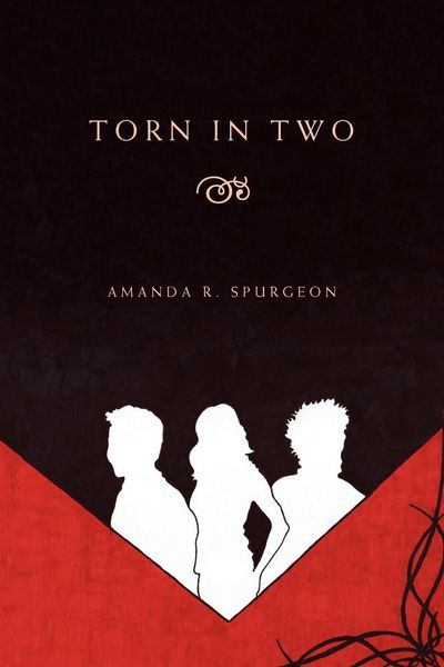 Produktbild: Torn in Two