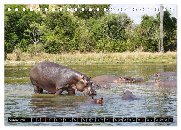 Produktbild: Afrikas Perle Uganda (Tischkalender 2026 DIN A5 quer), CALVENDO Monatskalender
