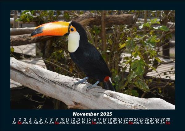 Produktbild: Vogelparadies 2025 Fotokalender DIN A5