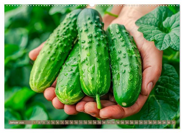 Produktbild: Mein Gem&uuml;segarten - Ein Jahr knackig frisches Gem&uuml;se (hochwertiger Premium Wandkalender 2026 DIN A2 quer), Kunstdruck in Hochglanz