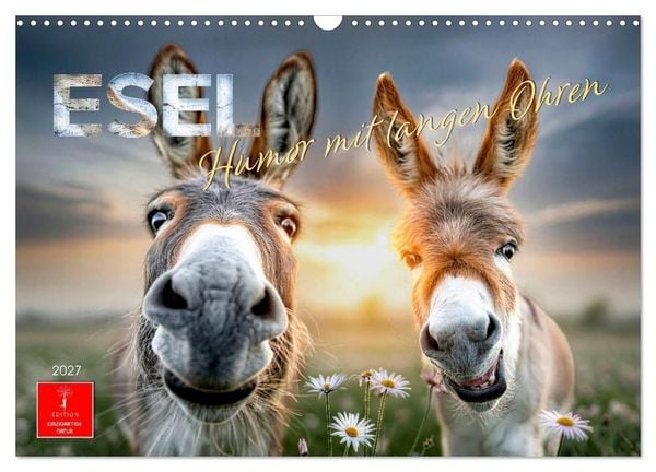 Produktbild: Esel - Humor mit langen Ohren (Wandkalender 2027 DIN A3 quer), CALVENDO Monatskalender