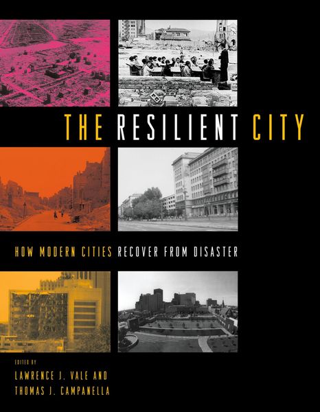 Produktbild: The Resilient City