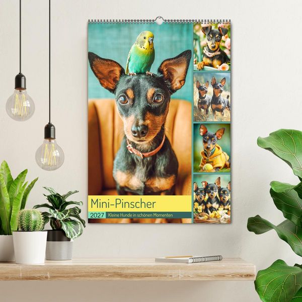 Produktbild: Mini-Pinscher. Kleine Hunde in sch&ouml;nen Momenten (Wandkalender 2027 DIN A2 hoch), CALVENDO Monatskalender