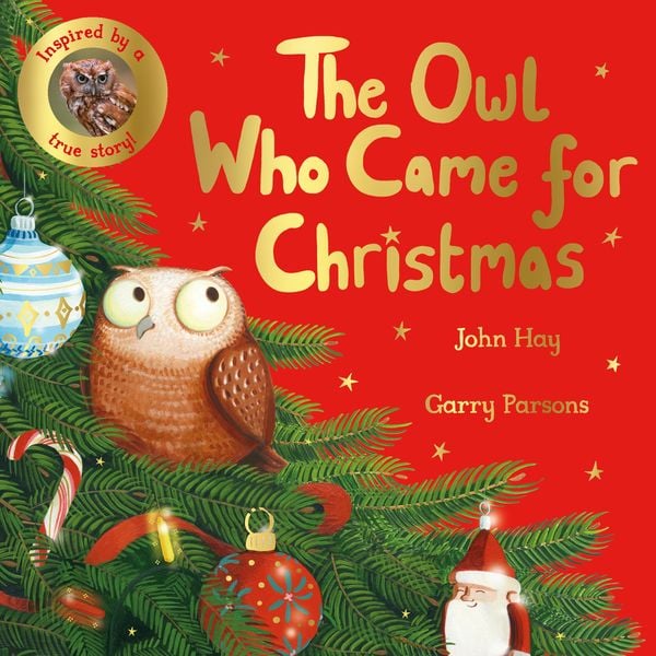Produktbild: The Owl Who Came for Christmas