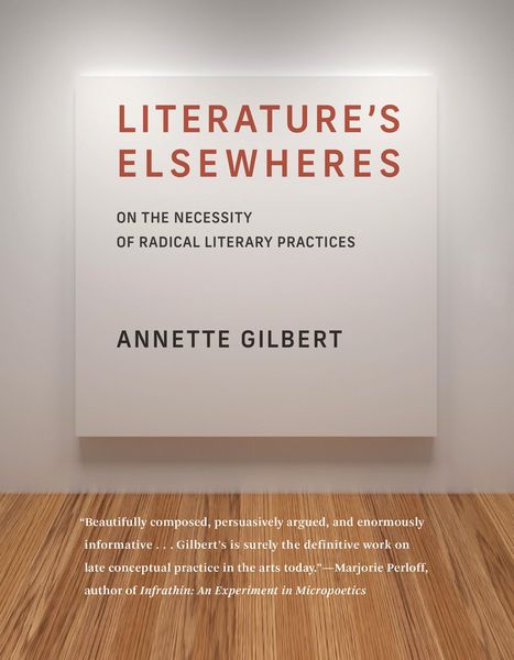 Produktbild: Literature's Elsewheres