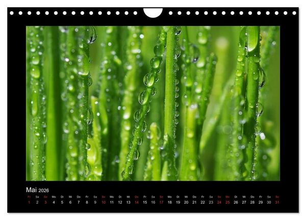 Produktbild: Meine kleine gr&uuml;ne Wassertropfen Welt (Wandkalender 2026 DIN A4 quer), CALVENDO Monatskalender