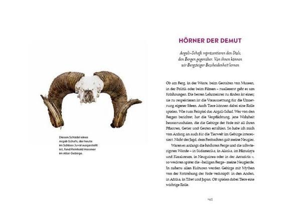 Produktbild: Pickel, Seil & Mauerhaken