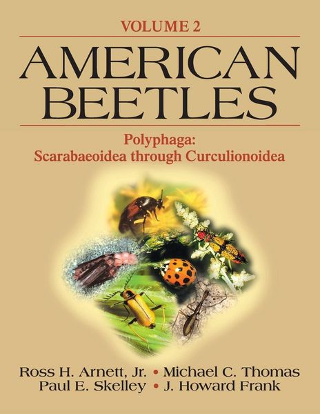 Produktbild: American Beetles, Volume II
