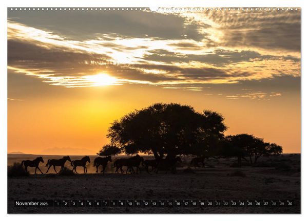 Produktbild: Wildes Namibia (Wandkalender 2026 DIN A2 quer), CALVENDO Monatskalender