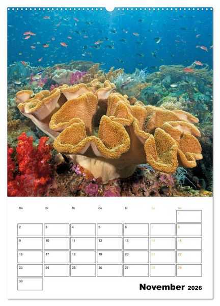 Produktbild: Farbrausch unter Wasser: Fische am Riff (hochwertiger Premium Wandkalender 2026 DIN A2 hoch), Kunstdruck in Hochglanz