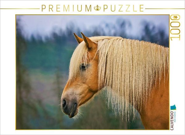 Produktbild: CALVENDO Puzzle Haflinger mit pr&auml;chtig blonder M&auml;hne | 1000 Teile Lege-Gr&ouml;&szlig;e 64x48cm Foto-Puzzle f&uuml;r gl&uuml;ckliche Stunden