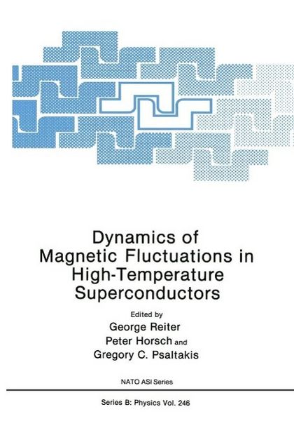 Produktbild: Dynamics of Magnetic Fluctuations in High-Temperature Superconductors
