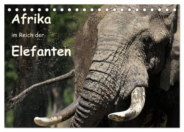 Produktbild: Afrika - im Reich der Elefanten (Tischkalender 2026 DIN A5 quer), CALVENDO Monatskalender