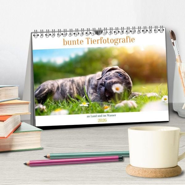 Produktbild: bunte Tierfotografie an Land und im Wasser (Tischkalender 2026 DIN A5 quer), CALVENDO Monatskalender