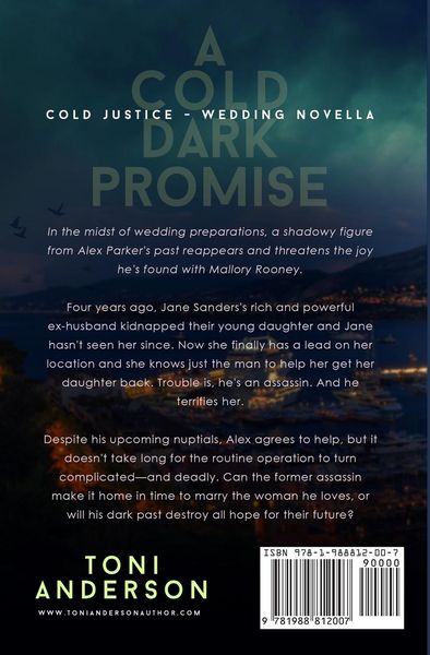 Produktbild: A Cold Dark Promise