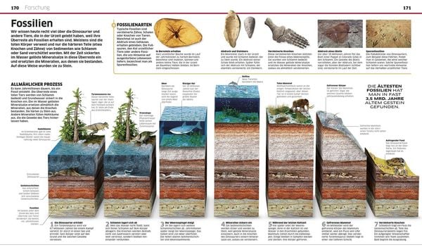 Produktbild: DK Wissen. Dinosaurier