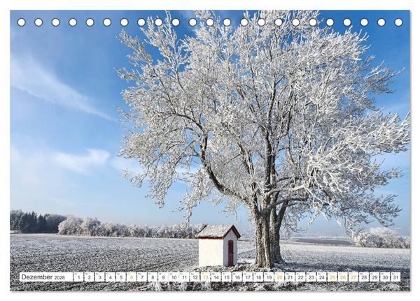 Produktbild: B&auml;ume im Altm&uuml;hltal (Tischkalender 2026 DIN A5 quer), CALVENDO Monatskalender