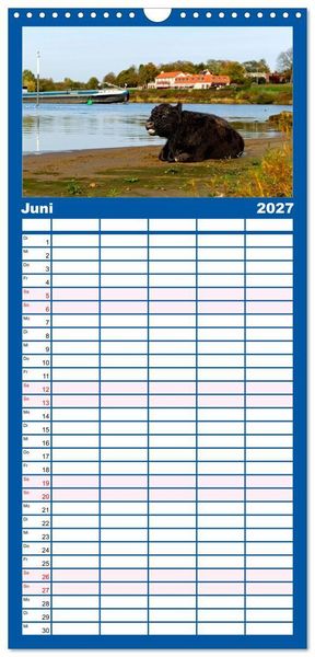 Produktbild: Familienplaner 2027 - Venlo mit 5 Spalten (Wandkalender, 21 x 45 cm) CALVENDO