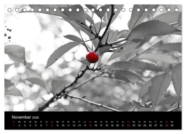 Produktbild: Farbtupfer (Tischkalender 2026 DIN A5 quer), CALVENDO Monatskalender