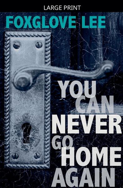 Produktbild: You Can Never Go Home Again