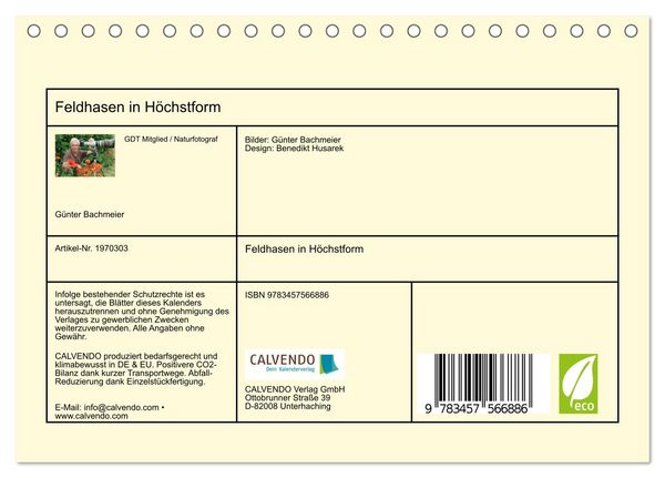 Produktbild: Feldhasen in H&ouml;chstform (Tischkalender 2026 DIN A5 quer), CALVENDO Monatskalender