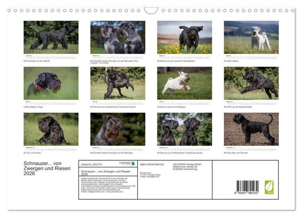 Produktbild: Schnauzer... von Zwergen und Riesen 2026 (Wandkalender 2026 DIN A3 quer), CALVENDO Monatskalender