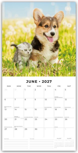 Produktbild: Cats & Dogs &ndash; Katzen & Hunde 2027 &ndash; 16-Monatskalender