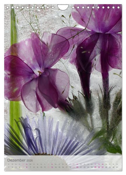 Produktbild: Blumen in Eis (Wandkalender 2026 DIN A4 hoch), CALVENDO Monatskalender