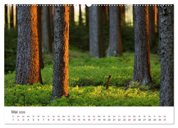 Produktbild: Im Deutschen Wald (hochwertiger Premium Wandkalender 2026 DIN A2 quer), Kunstdruck in Hochglanz