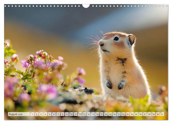 Produktbild: ARKTISCHE TIERE Im Reich der K&auml;lte (Wandkalender 2026 DIN A3 quer), CALVENDO Monatskalender