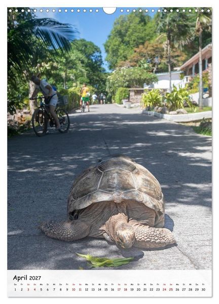 Produktbild: Seychellen -Traumhafte Landschaften (Wandkalender 2027 DIN A3 hoch), CALVENDO Monatskalender