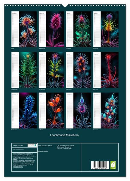 Produktbild: Leuchtende Mikroflora (hochwertiger Premium Wandkalender 2026 DIN A2 hoch), Kunstdruck in Hochglanz
