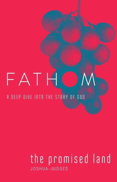Produktbild: Fathom Bible Studies: The Promised Land Student Journal (Joshua-Judges)