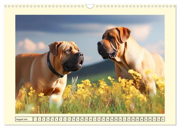 Produktbild: Der Tosa Inu. Japans legend&auml;rer Mastiff (Wandkalender 2026 DIN A3 quer), CALVENDO Monatskalender