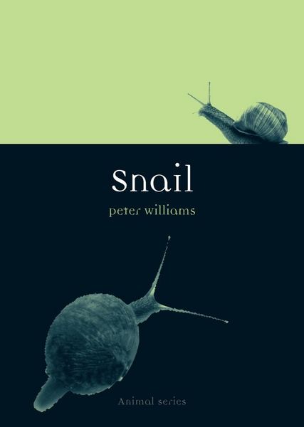 Produktbild: Snail