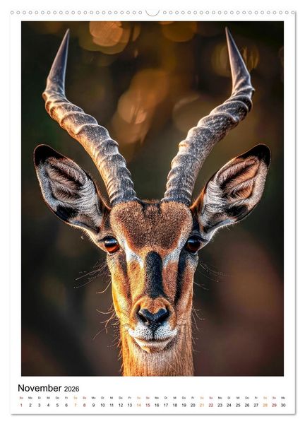 Produktbild: Afrikas Tierwelt - imposante K&ouml;pfe (hochwertiger Premium Wandkalender 2026 DIN A2 hoch), Kunstdruck in Hochglanz