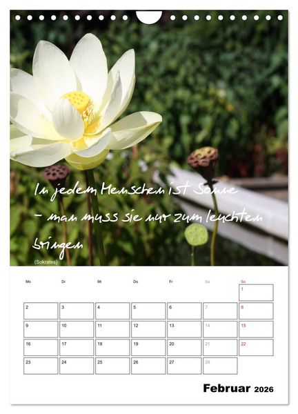 Produktbild: Spr&uuml;che und Weisheiten f&uuml;r&acute; s Jahr (Wandkalender 2026 DIN A4 hoch), CALVENDO Monatskalender