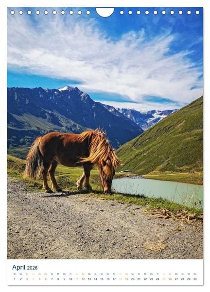 Produktbild: Sommer in &Ouml;sterreich - sonnige Tage in den Bergen (Wandkalender 2026 DIN A4 hoch), CALVENDO Monatskalender