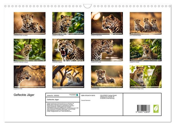 Produktbild: Gefleckte J&auml;ger (Wandkalender 2026 DIN A3 quer), CALVENDO Monatskalender