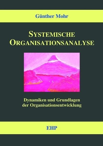 Produktbild: Systemische Organisationsanalyse