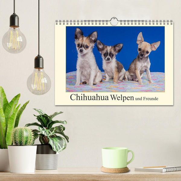 Produktbild: Chihuahua Welpen und Freunde (Wandkalender 2026 DIN A4 quer), CALVENDO Monatskalender