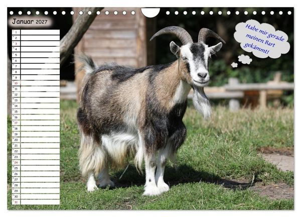 Produktbild: Wenn Tiere Sprechen k&ouml;nnten! Der lustige Spr&uuml;che Geburtstagskalender (Wandkalender 2027 DIN A4 quer), CALVENDO Monatskalender