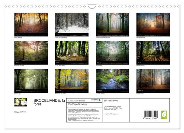 Produktbild: BROCELIANDE, la for&ecirc;t (Calendrier mural 2026 DIN A3 vertical), CALVENDO calendrier mensuel