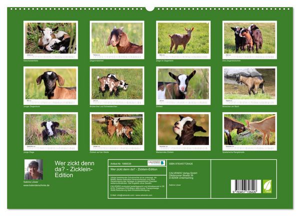 Produktbild: Wer zickt denn da? - Zicklein-Edition (hochwertiger Premium Wandkalender 2026 DIN A2 quer), Kunstdruck in Hochglanz
