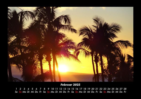 Produktbild: Palmen 2025 Fotokalender DIN A3
