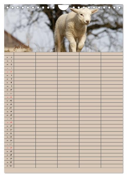 Produktbild: Der bel&auml;mmerte Familienplaner (Wandkalender 2026 DIN A4 hoch), CALVENDO Monatskalender
