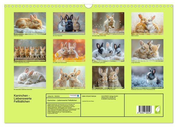 Produktbild: Kaninchen - Liebenswerte Fellb&auml;llchen (Wandkalender 2026 DIN A3 quer), CALVENDO Monatskalender