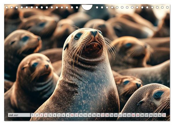Produktbild: Faszination Robben - Zwischen Wellen und Weite (Wandkalender 2027 DIN A4 quer), CALVENDO Monatskalender
